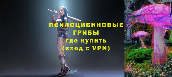 прущие грибы Аркадак
