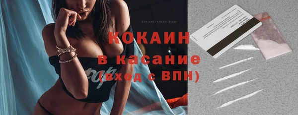 прущие грибы Аркадак