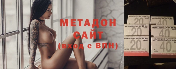 прущие грибы Аркадак