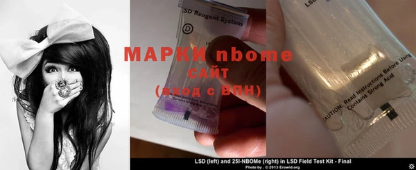 прущие грибы Аркадак