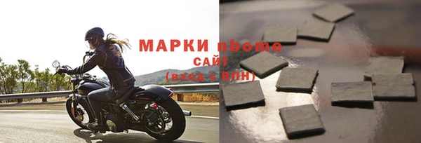 прущие грибы Аркадак