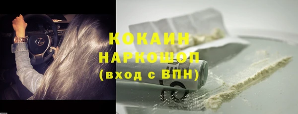 прущие грибы Аркадак