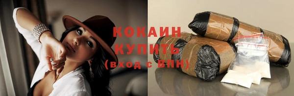 прущие грибы Аркадак