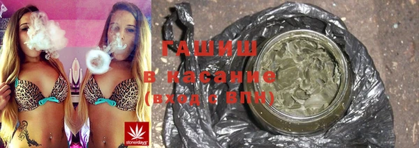 прущие грибы Аркадак