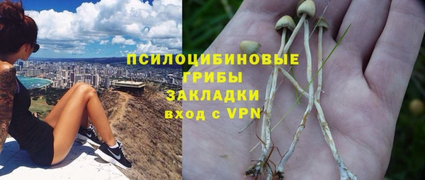 стафф Армянск