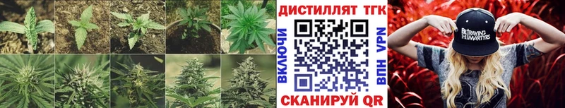 Дистиллят ТГК Wax  Солнечногорск 