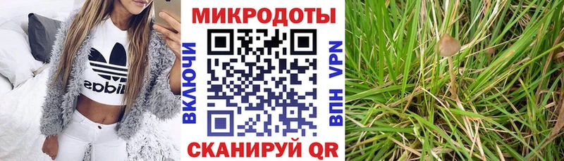 Псилоцибиновые грибы мухоморы  цена наркотик  Солнечногорск 